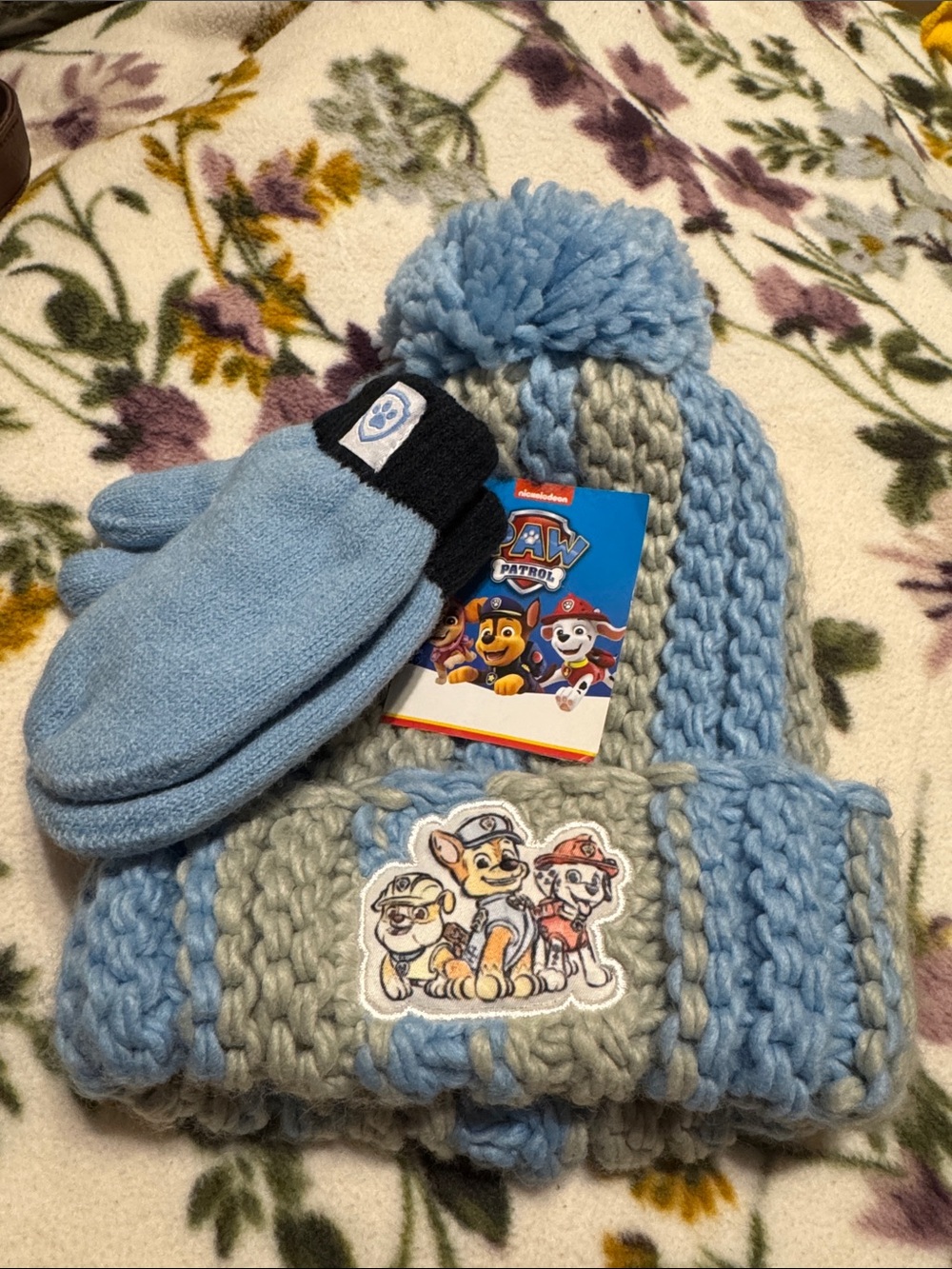 Paw Patrol Light Blue and Gray Knit Pom Beanie with Matching Mittens